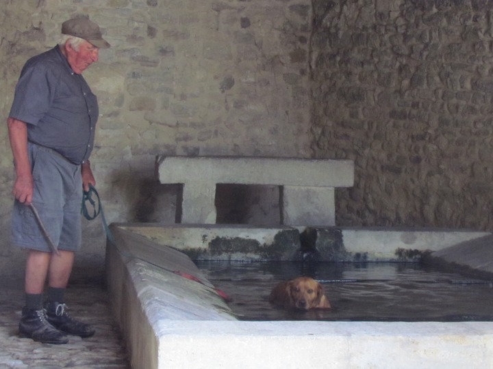 Zonderling met hond